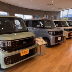 🎄選べルークス🎁 IMG_9904